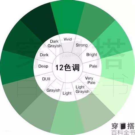 綠色的意義|色彩心理學（下）：心理學上，黑、白、綠代表什麼？。